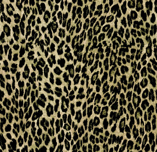 豹纹图案布料纹理