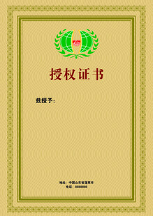 证书模板