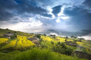 山间梯田美景