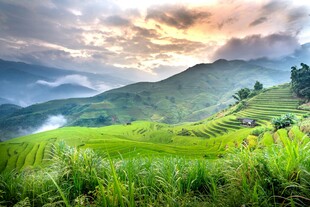 山间绿野晨曦美景