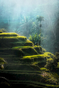 梦幻梯田