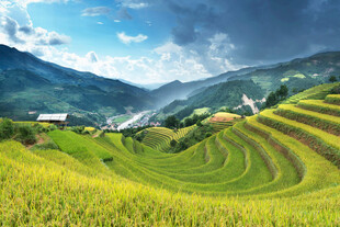 山间梯田美景