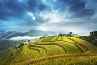 山间梯田美景