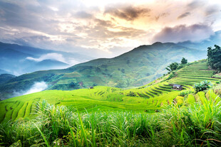 山间绿野晨景