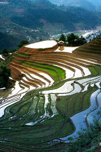 壮丽梯田景观