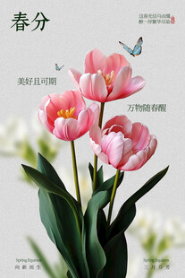 春分时节节气海报
