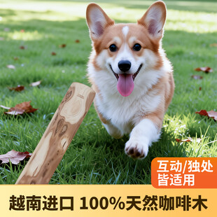 狗狗磨牙棒主图设计