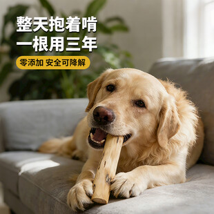 狗狗磨牙棒主图设计