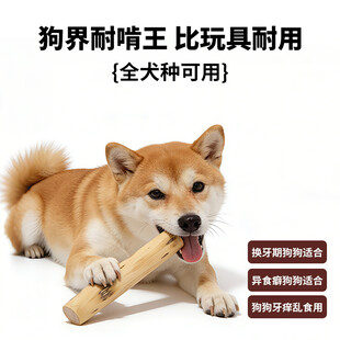 狗狗磨牙棒主图设计