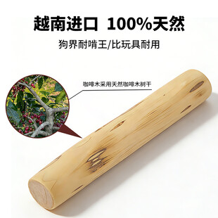 狗狗磨牙棒主图设计