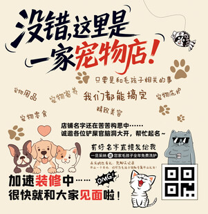 宠物店