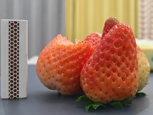 草莓