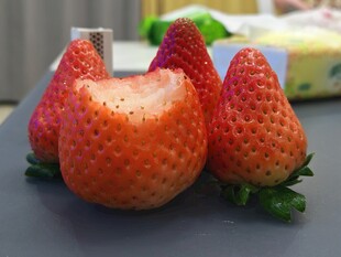 草莓 