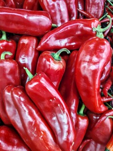 红辣椒