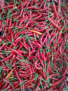 红辣椒