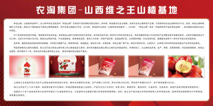 水果山楂背景展板