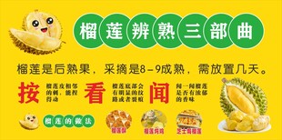 榴莲辨熟三部曲