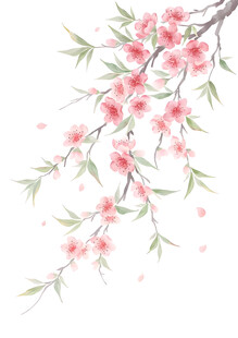 水墨风格绽放的粉嫩桃花