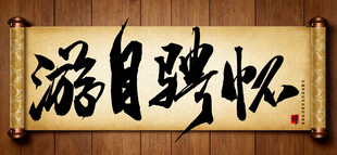 游目骋怀传统艺术书法手写毛笔字