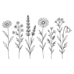 手绘花卉植物线条插画