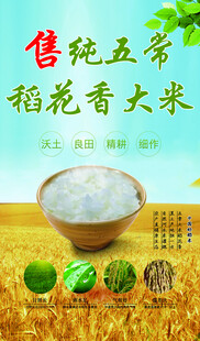 五常稻花香大米
