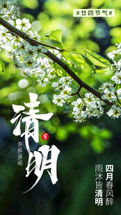 春日素明枝头繁花初绽