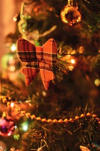 圣诞树上的精致蝴蝶装饰
