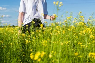 漫步花海的白衣身影