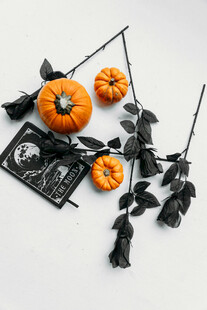 万圣节装饰小物