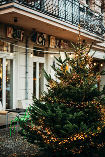 门前装饰小圣诞树的建筑