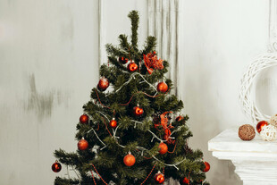 装饰精美的小型圣诞树