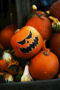 万圣节南瓜装饰摆件