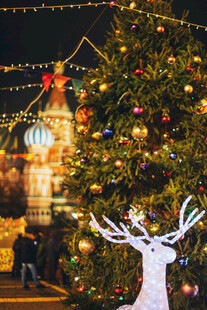 圣诞夜景下的装饰与驯鹿