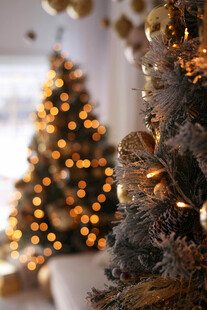 温馨圣诞装饰中的圣诞树