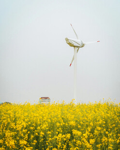 田野上空的风筝与烂漫黄花
