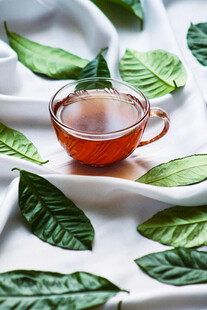 绿叶间的精致茶杯