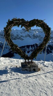 雪山上的心形绿植景观