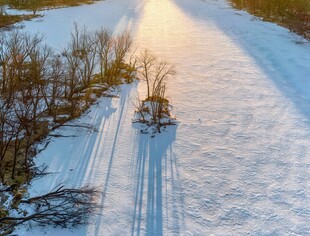 冬日雪地中的车辆行驶痕迹