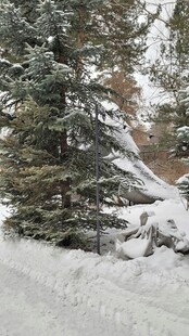 雪覆山林冬日景致