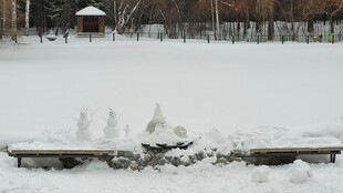 冬日雪景中的雪人景观