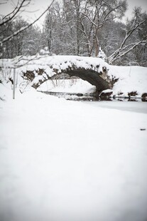 雪覆古桥的冬日静谧景象