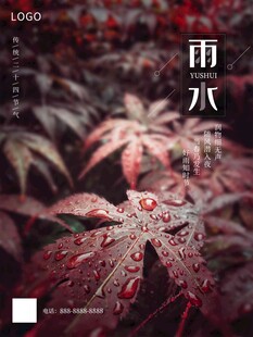雨水海报 