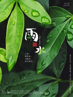 雨水海报 