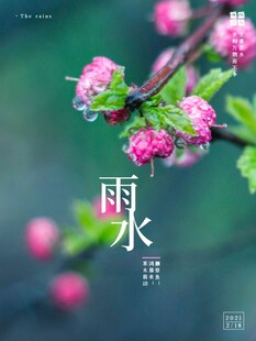 雨水海报 