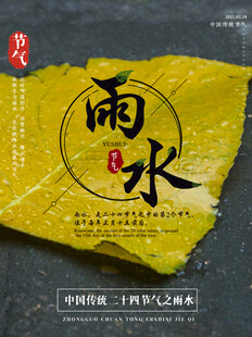 雨水海报