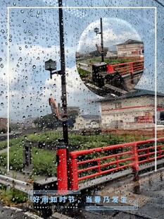 雨水海报 