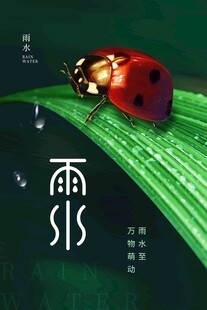 雨水海报