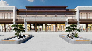 中式风格商业建筑外观