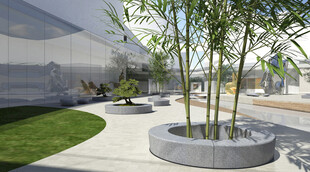 现代户外景观植物装饰区