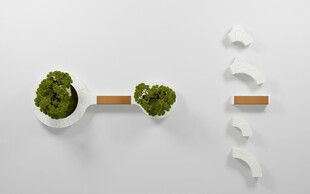 绿植摆件简约空间小装饰